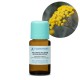 Helichrysum Italian Organic